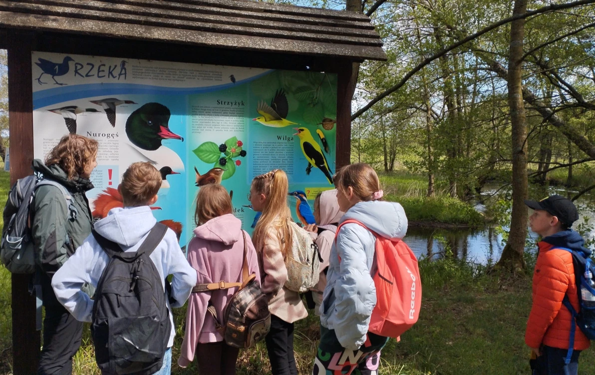 Zdjęcie do Ścieżka ornitologiczno - przyrodnicza "Kokoszka"