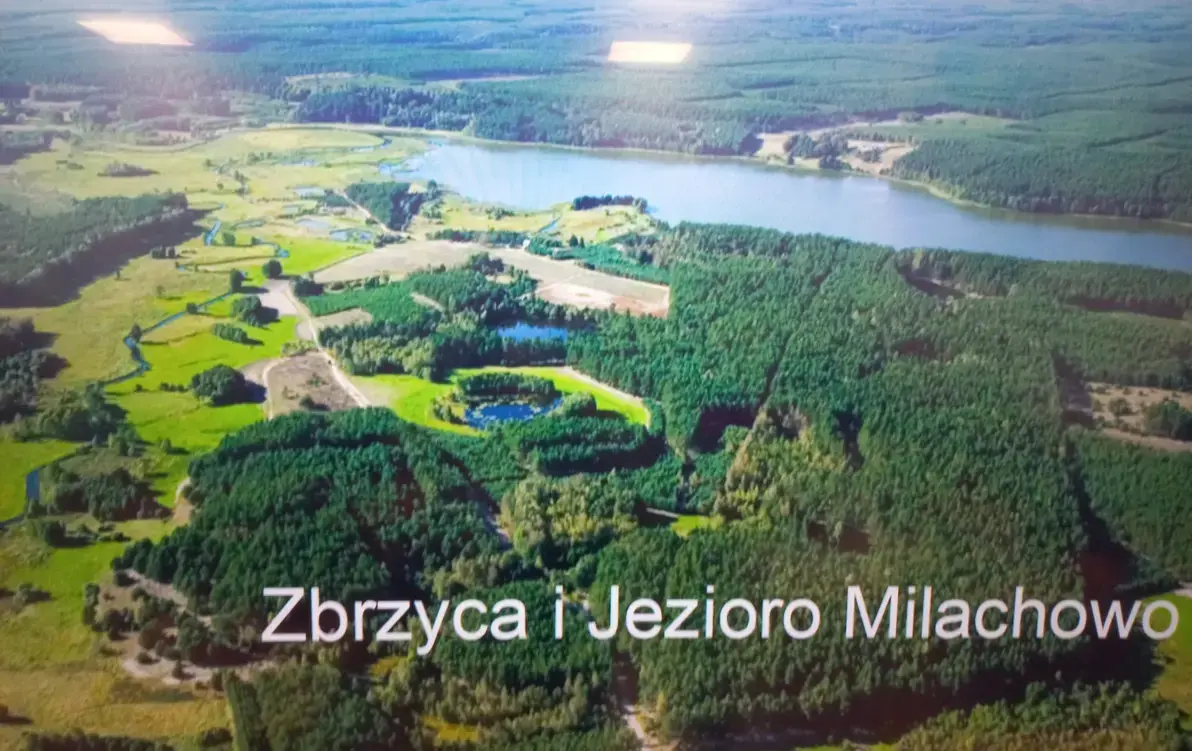 Zdjęcie do Zajęcia o wodzie i jej mieszkańcach w klasie 3